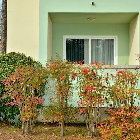 Apartmán Pinewood *