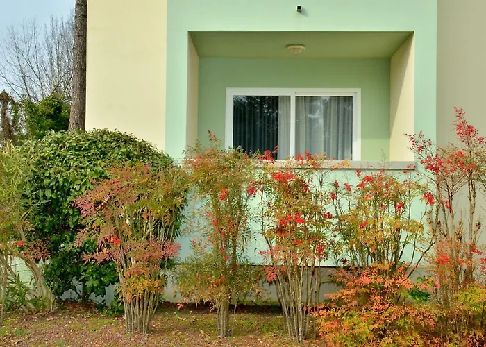 Apartmán Pinewood *